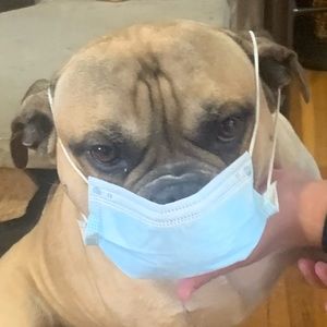 Meet your Posher, Mari